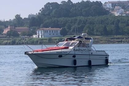 Rental Motorboat Princess Riviera 286 Porto