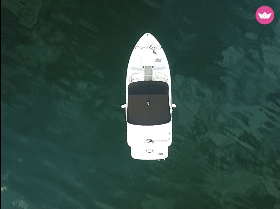 Czarter 175