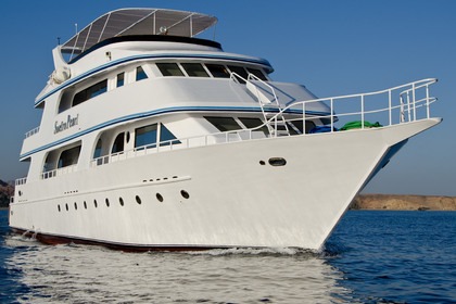 Hire Motorboat Sharm El Sheikh Shipyard 2019 Sharm El-Sheikh