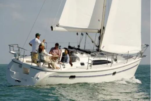 sailboat rental melbourne fl