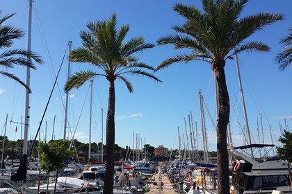 Alquiler Velero Bavaria Yachtbau Bavaria Cruiser 50 Palma de Mallorca