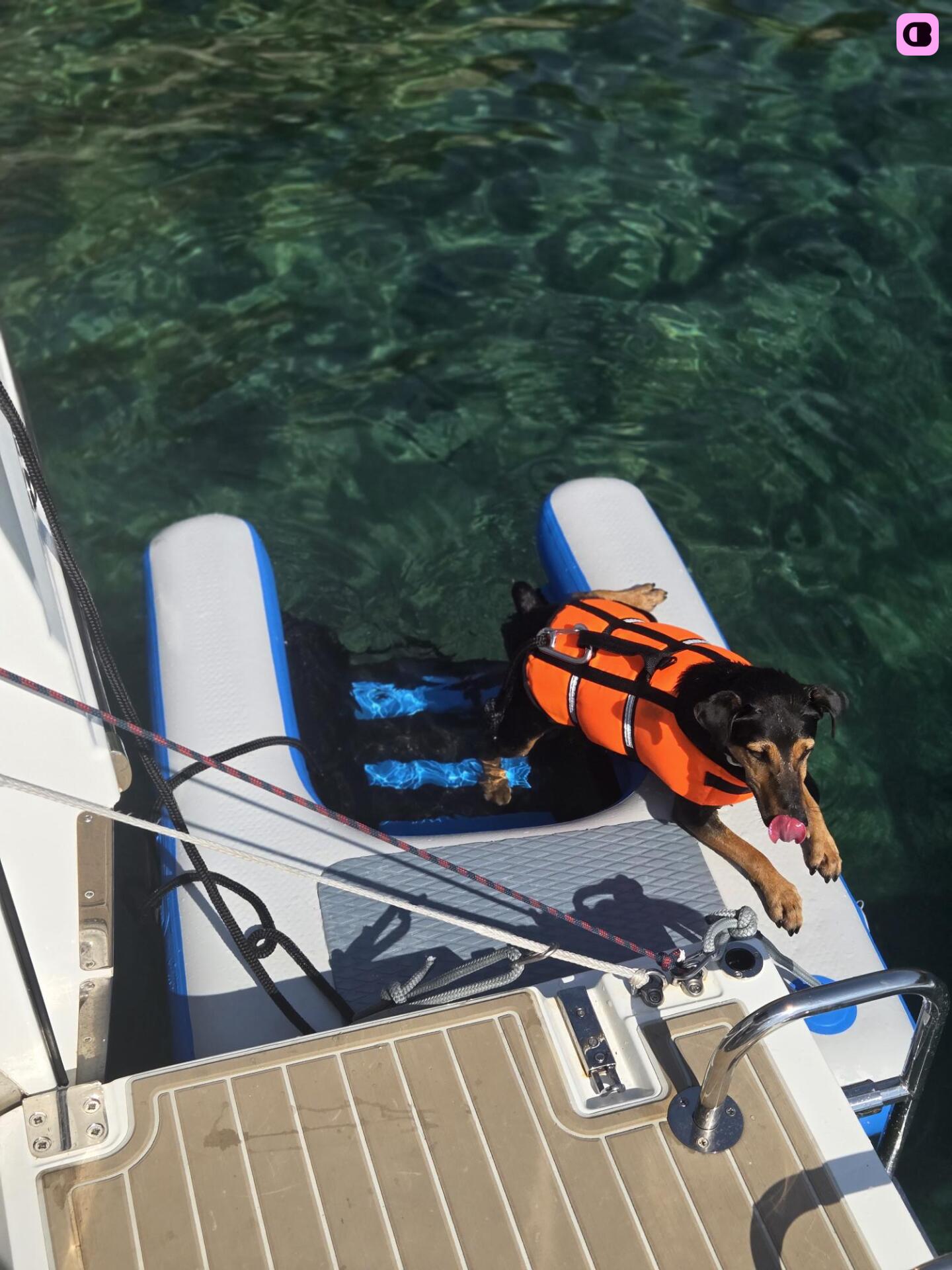 Bateau à moteur Jeanneau Cap Camarat 9.0 Wa 500cv 7