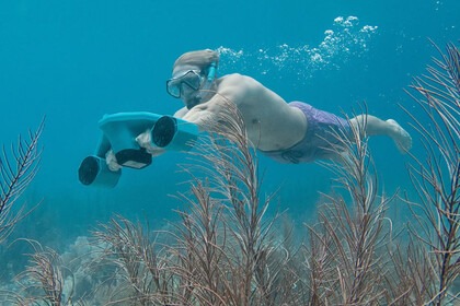 Beneteau Antares 8 in Cadaqués, Port Lligat