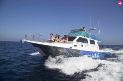 Location Bateau à moteur Cata 43 Cata 43 Corralejo