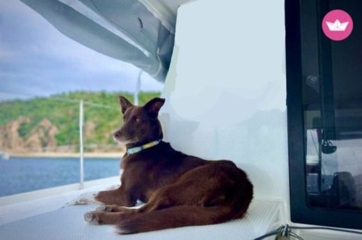 Catamaran Fountaine Pajot Lucia 40 Boat layout