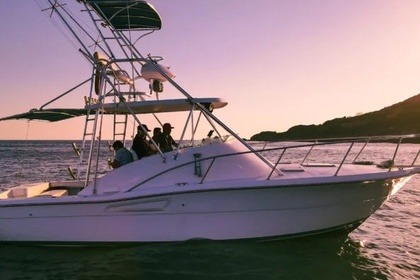 Luhrs 34 Sportfisher