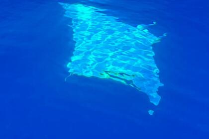 FAIRLINE SQUADRON 19 METRES