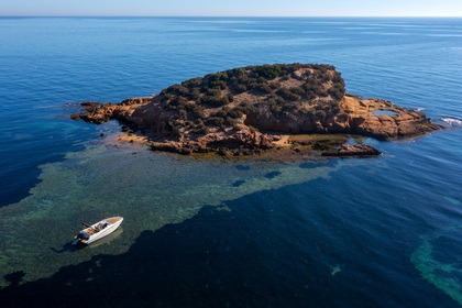 Quicksilver 755 Sundeck - Dana