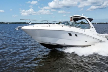 Aluguel Lancha Sea Ray SUNDANCER 335 Mônaco