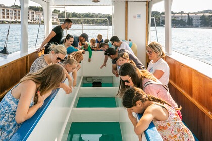 BOAT TOUR FAŽANA - NATIONAL PARK BRIJUNI