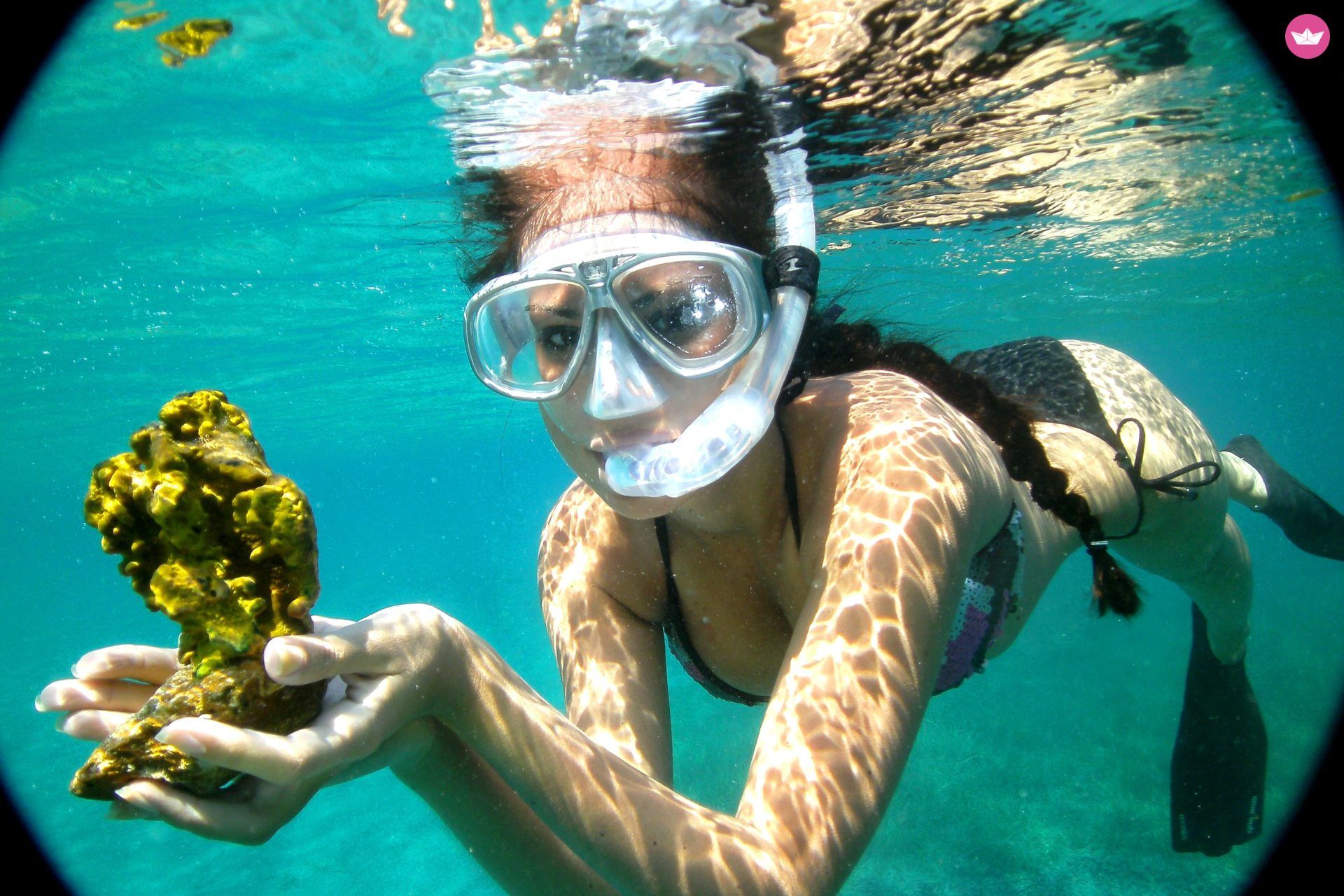 RIB Seastar Horizon for hire