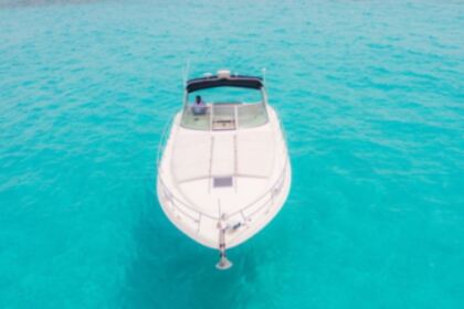 Charter Motorboat Sea Ray 255 Sundancer Cancún
