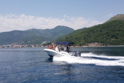 Quicksilver Commander 555