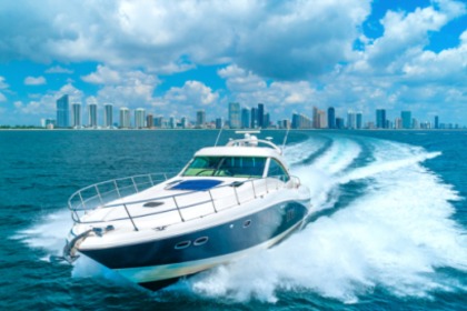 Rental Motor yacht 65' SeaRay PARTY TIME! Miami Beach