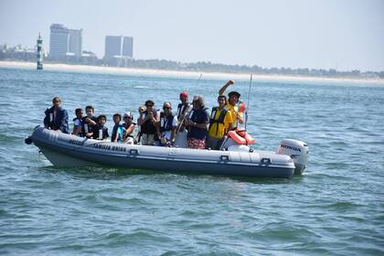 Alquiler Neumática Marshall M100 Tróia Peninsula