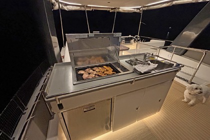 Catamaran MOTEUR LEOPARD 43 PC