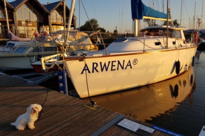 Janmor 34AC Arwena (wewnętrzne sterowanie)