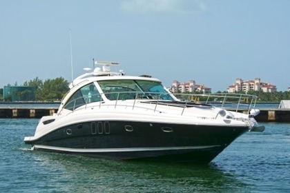Charter Motorboat SEA RAY 355 Sundancer Miami