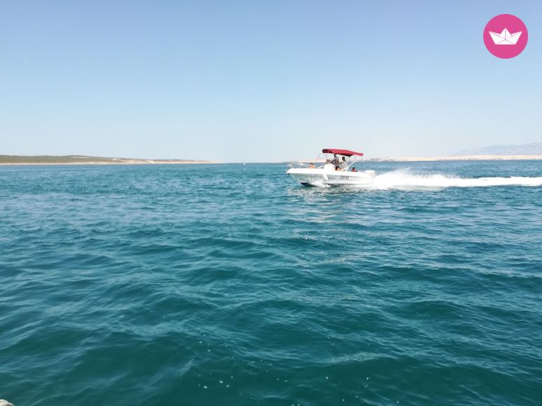 Motorboat Blumax S.r.l Bluline 19 for hire