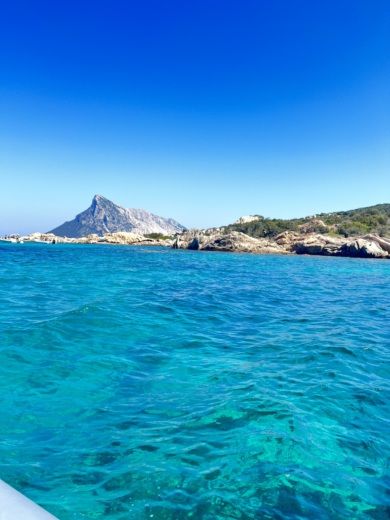 Pittulongu RIB Bwa 550 alt tag text