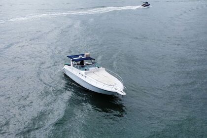 Rental Motorboat Sea Ray 175 Sport Nuevo Vallarta