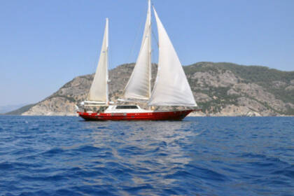 M/S MİO VENTO