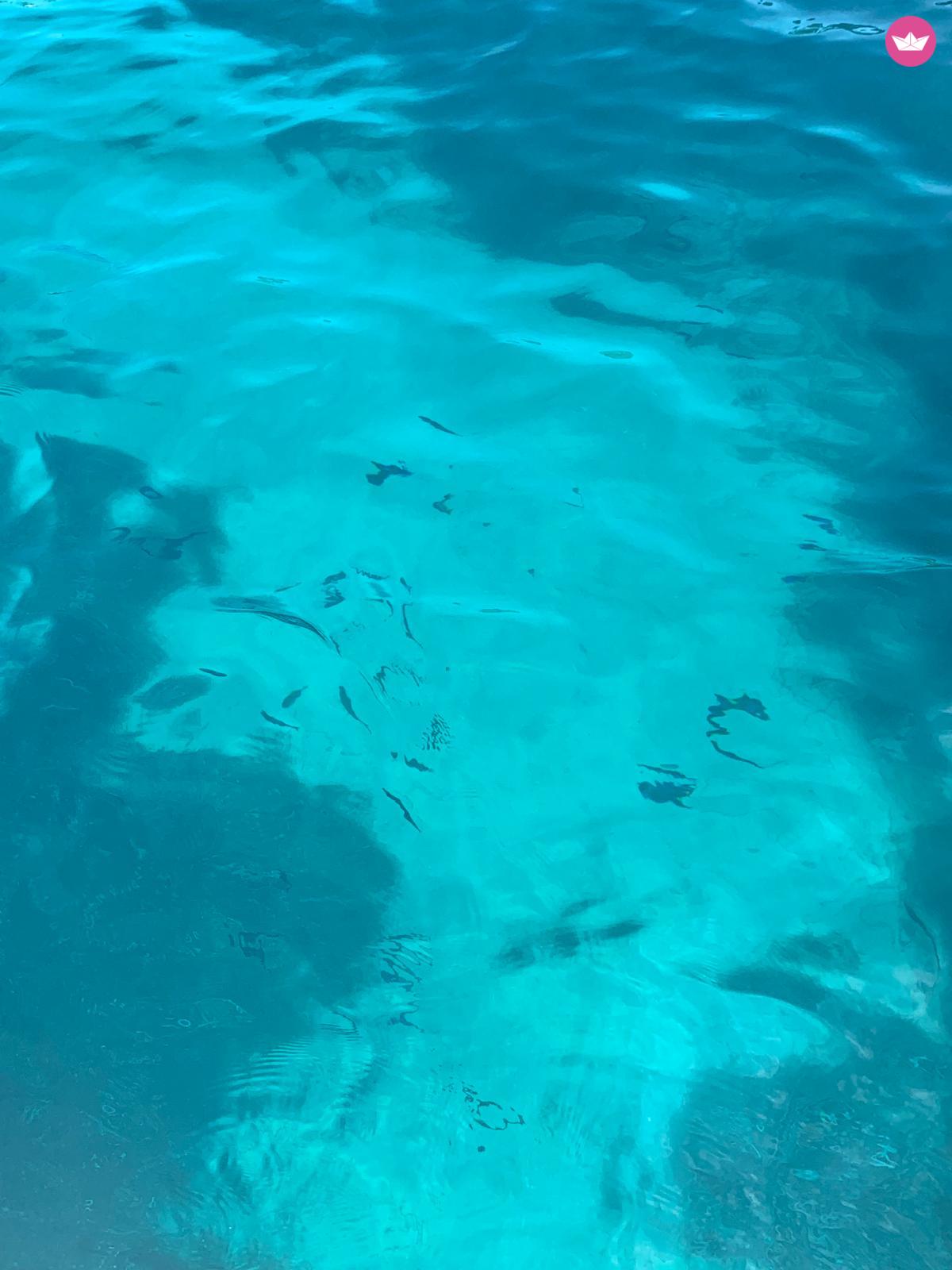 Jeanneau Leader 805 à Antibes à louer