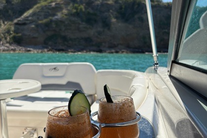 Stylisch übers Meer – Entdecke Mallorca mit der Monterey 264FS