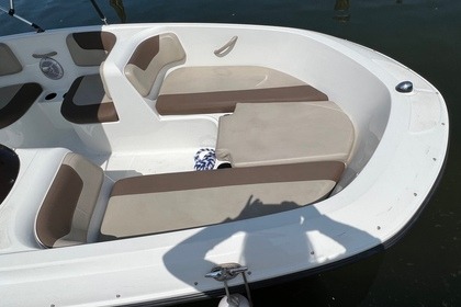 Bayliner Element M17