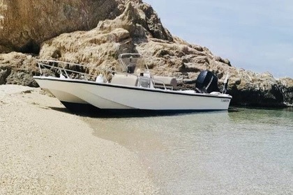 Charter Motorboat Boston Whaler Montauk 17 Lorient