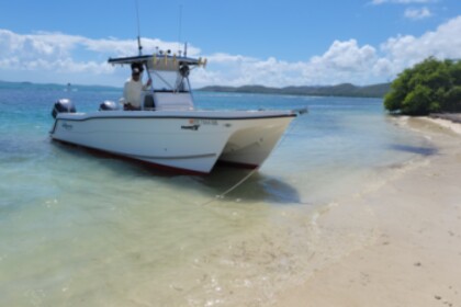 Rental Motorboat Pro Series ProKat Fajardo