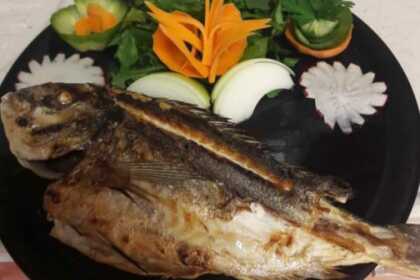 Luxury Motoryacht Available For Your Request in Torba Bodrum