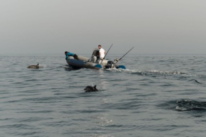 Charter RIB Narwhal Hd-580 Algeciras