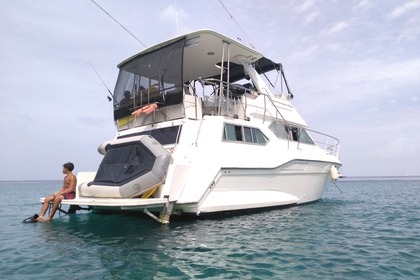 Rental Motorboat Cruisers CRUISERS YATCH 3850 AFT Le Lamentin