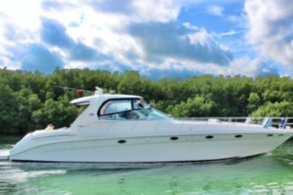 Miete Motorboot Sea Ray 60 Cancún