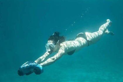 Bayline - 642 Cuddy - Monaco - Inboard