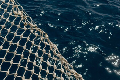 Half day cruises from santorini + lunch