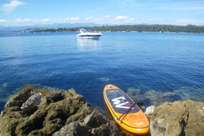 prestigious sessa C30