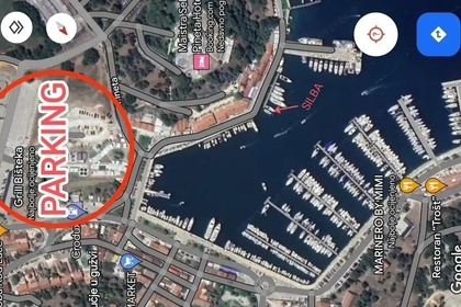 Dolphin watching and sunset