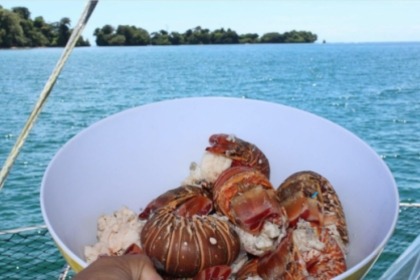 Endeavor 40 ft sailboat Bocas del Toro