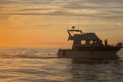 Tours in Cascais -  Rodman 1100