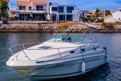 Sea Ray 240 Sundancer