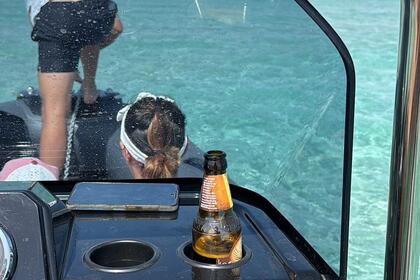 Semi rigide 6,5M EAGLE BRIG 2026