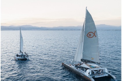 Charter Catamaran . YANMAR Palma de Mallorca