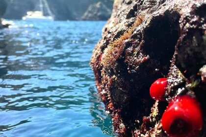 Fountaine Pajot — Lavezzi 40