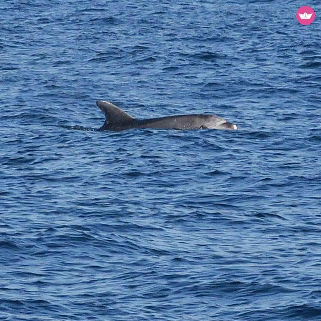 Sailboat Jeaneau Sun Odyssey 40  