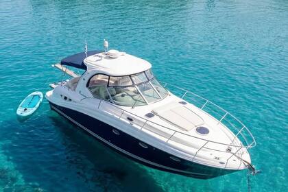 Charter Motor yacht Sea Ray 455 Skiathos Port