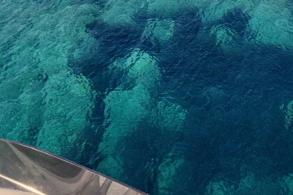 FAIRLINE SQUADRON 19 METRES