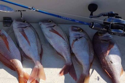 Ψάρεμα/Βαρκάδα/Ψαροτούφεκο