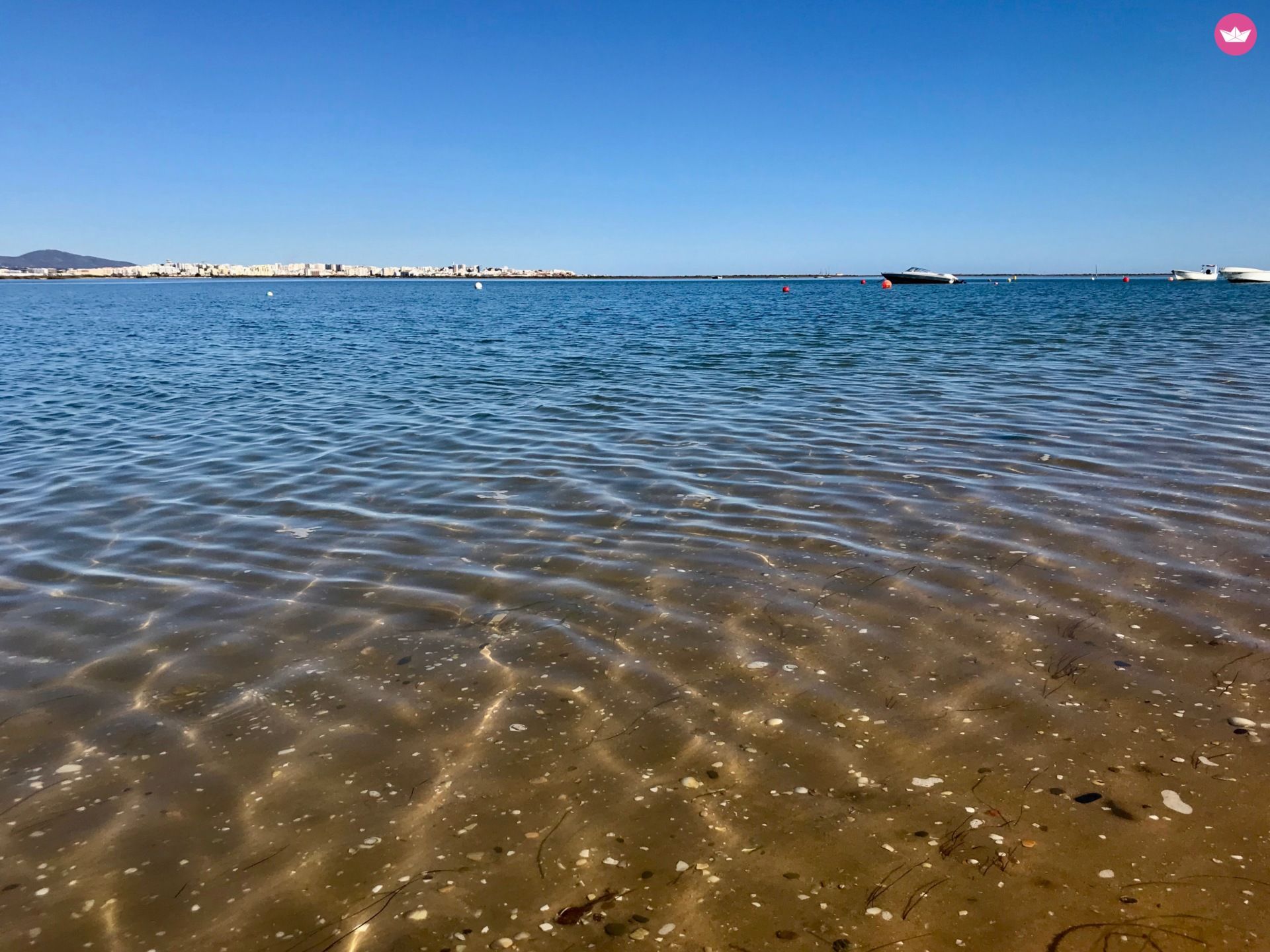 Charter Lagoon Lagoon 400 S2